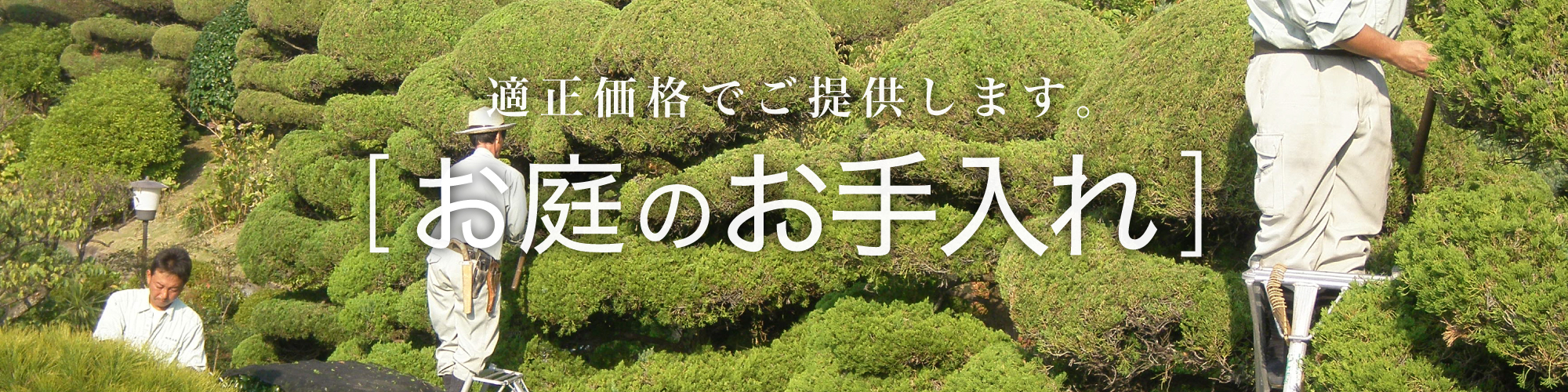 乾造園