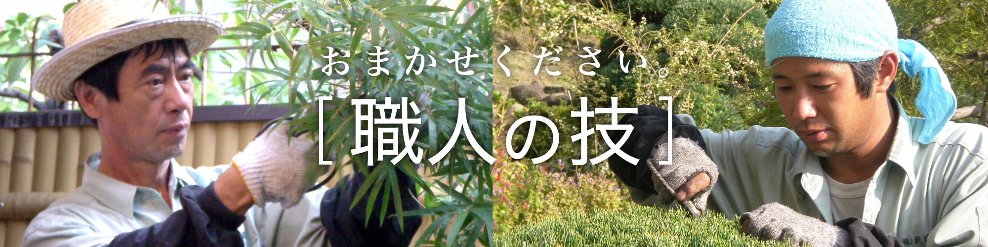 乾造園